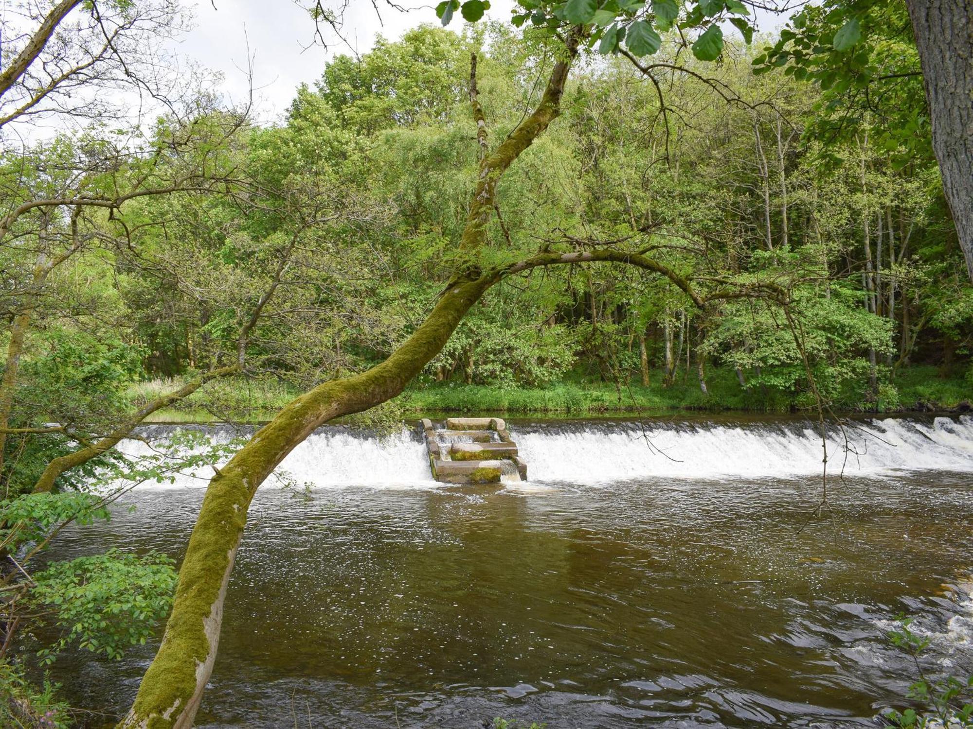 Bridge End Lodge Dollar Buitenkant foto